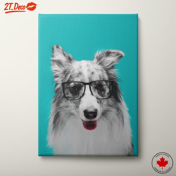 Stylish Dog with Glasses