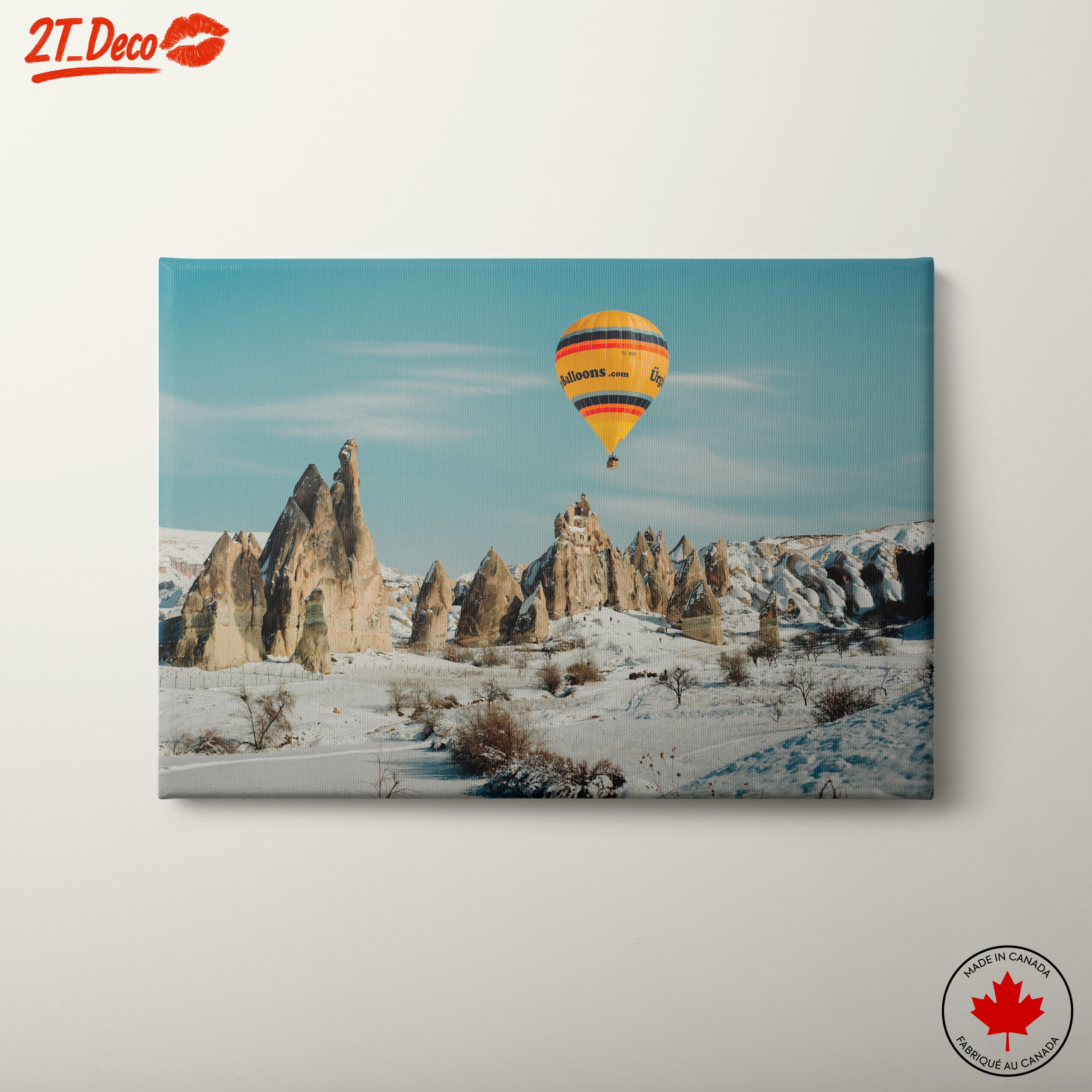Hot Air Balloon Over Unique Landscape