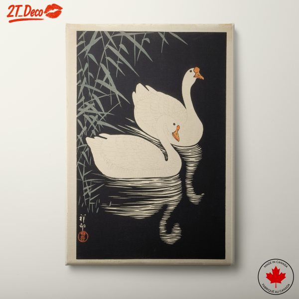 Elegant Swans Nestled in Tranquil Waters