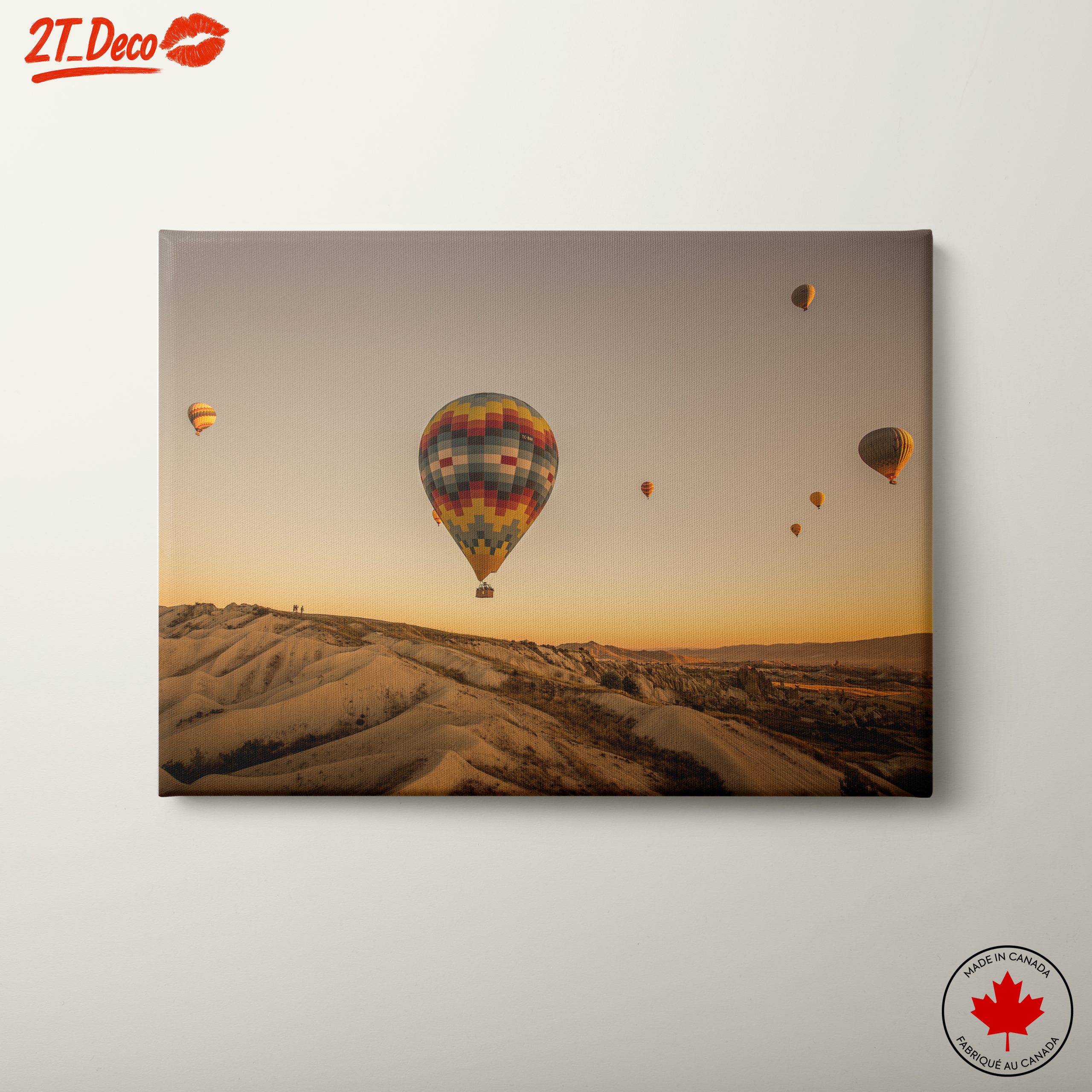 Colorful Hot Air Balloons in Scenic Landscape