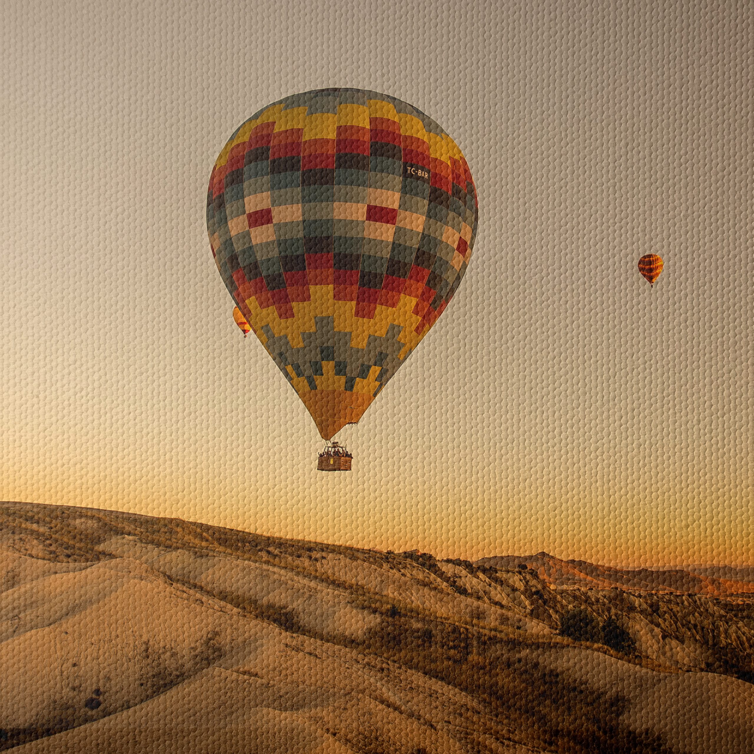 Colorful Hot Air Balloons in Scenic Landscape - Image 4