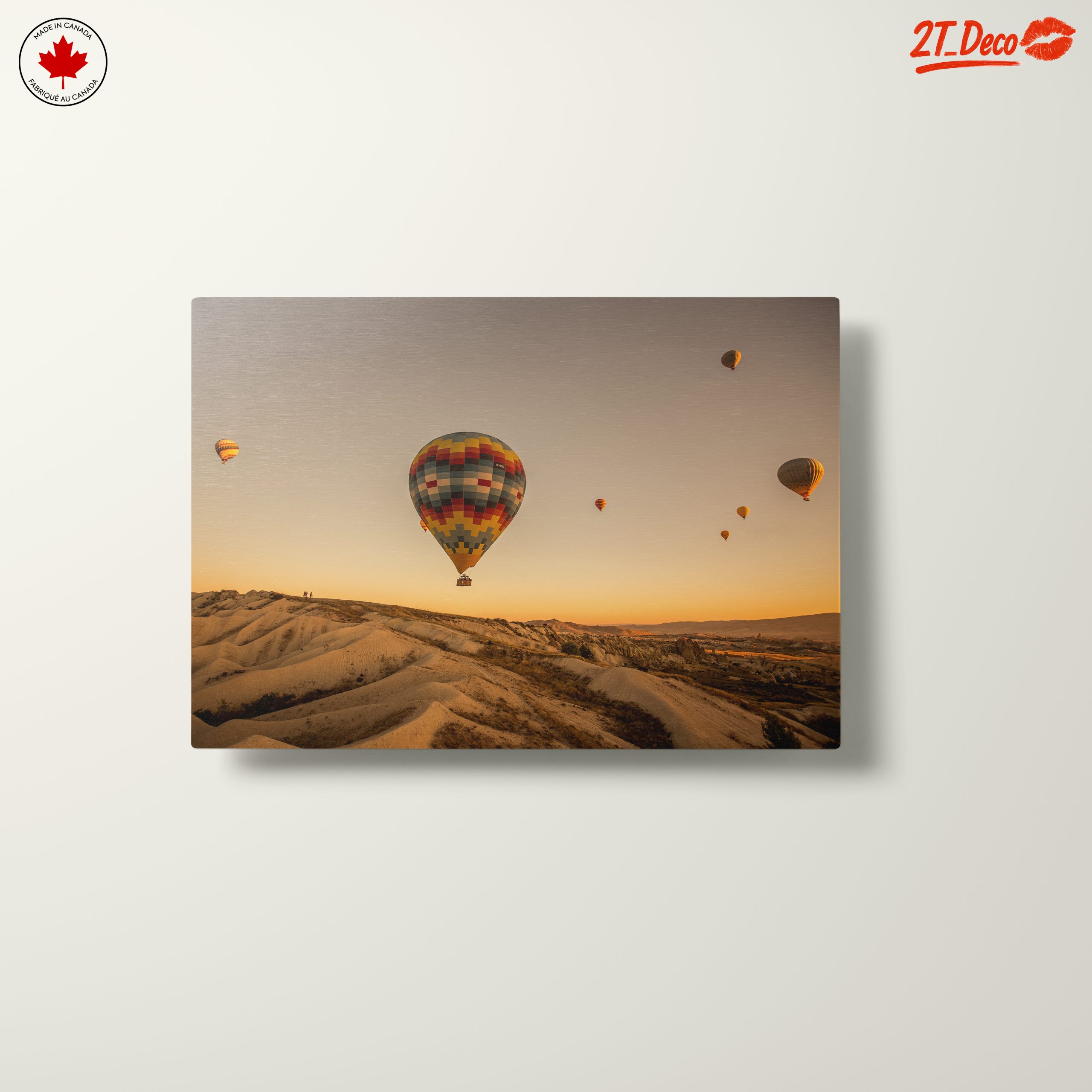 Colorful Hot Air Balloons in Scenic Landscape - Image 10