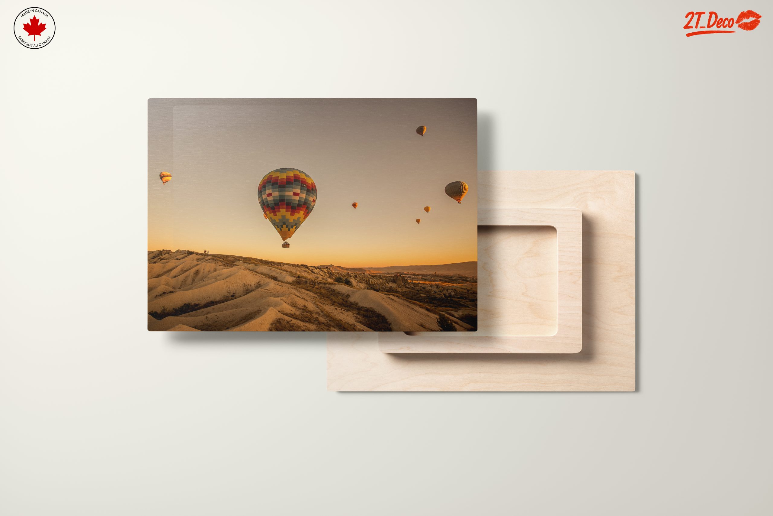 Colorful Hot Air Balloons in Scenic Landscape - Image 11
