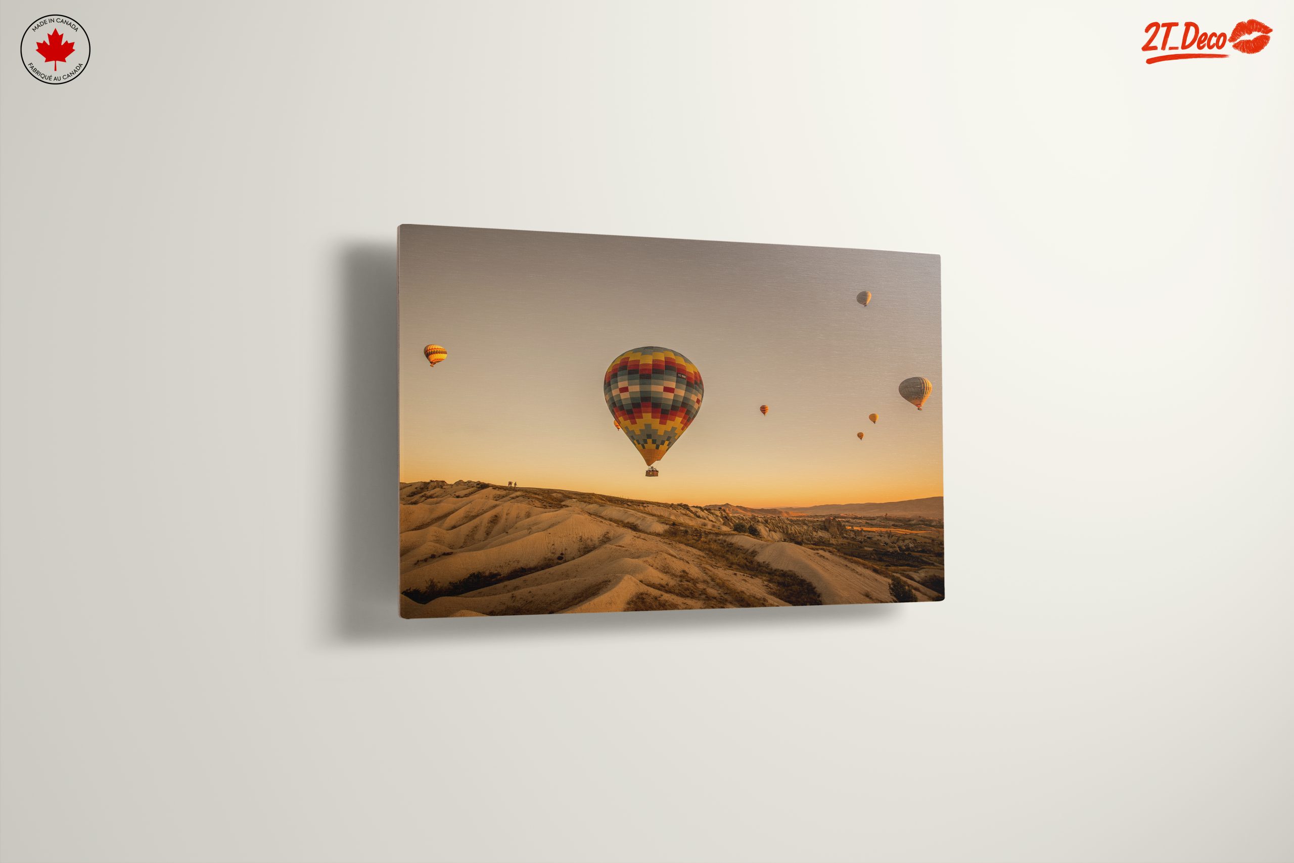 Colorful Hot Air Balloons in Scenic Landscape - Image 13