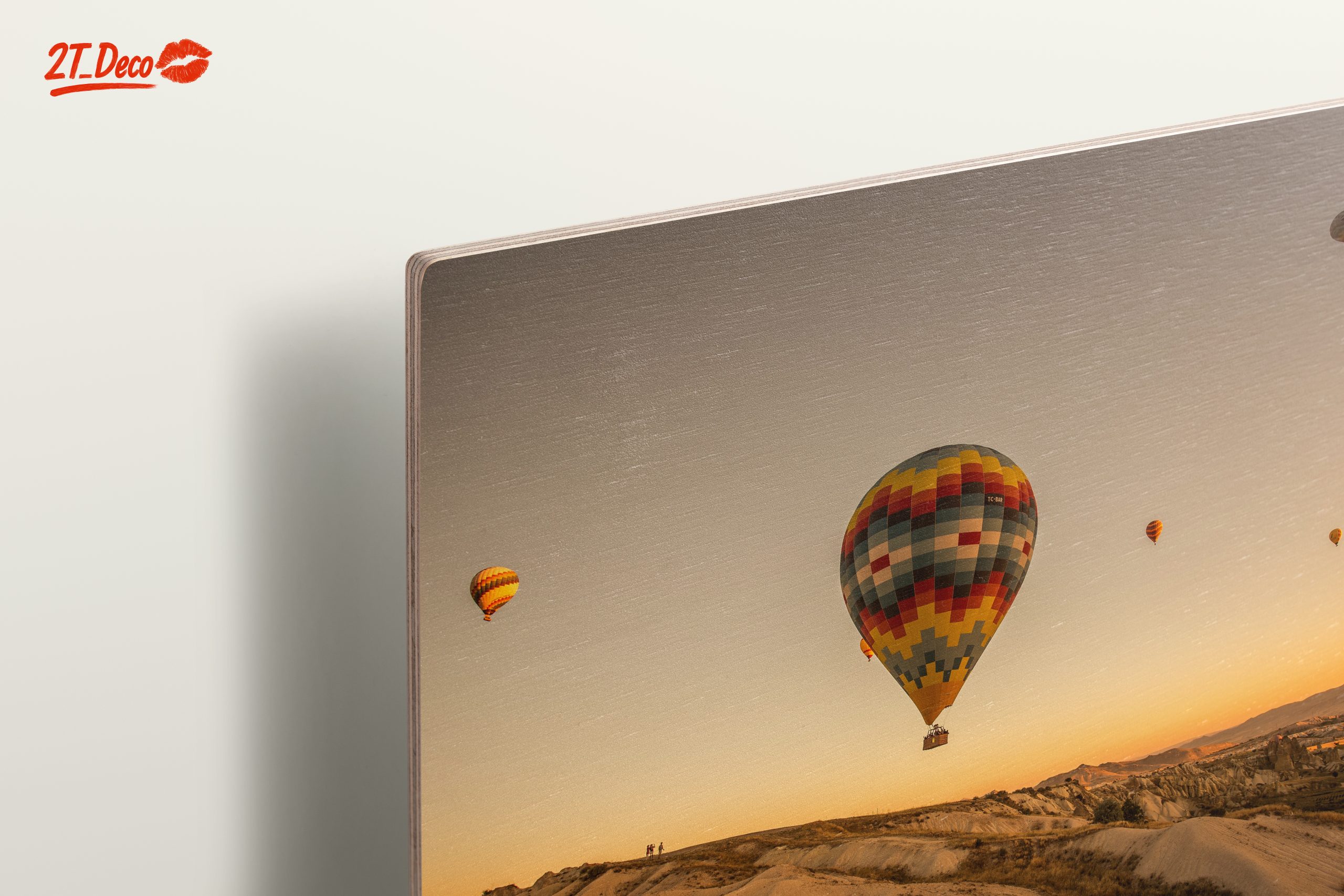 Colorful Hot Air Balloons in Scenic Landscape - Image 15