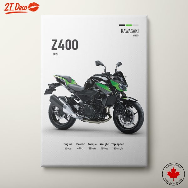 Kawasaki Z400 Motorcycle Art