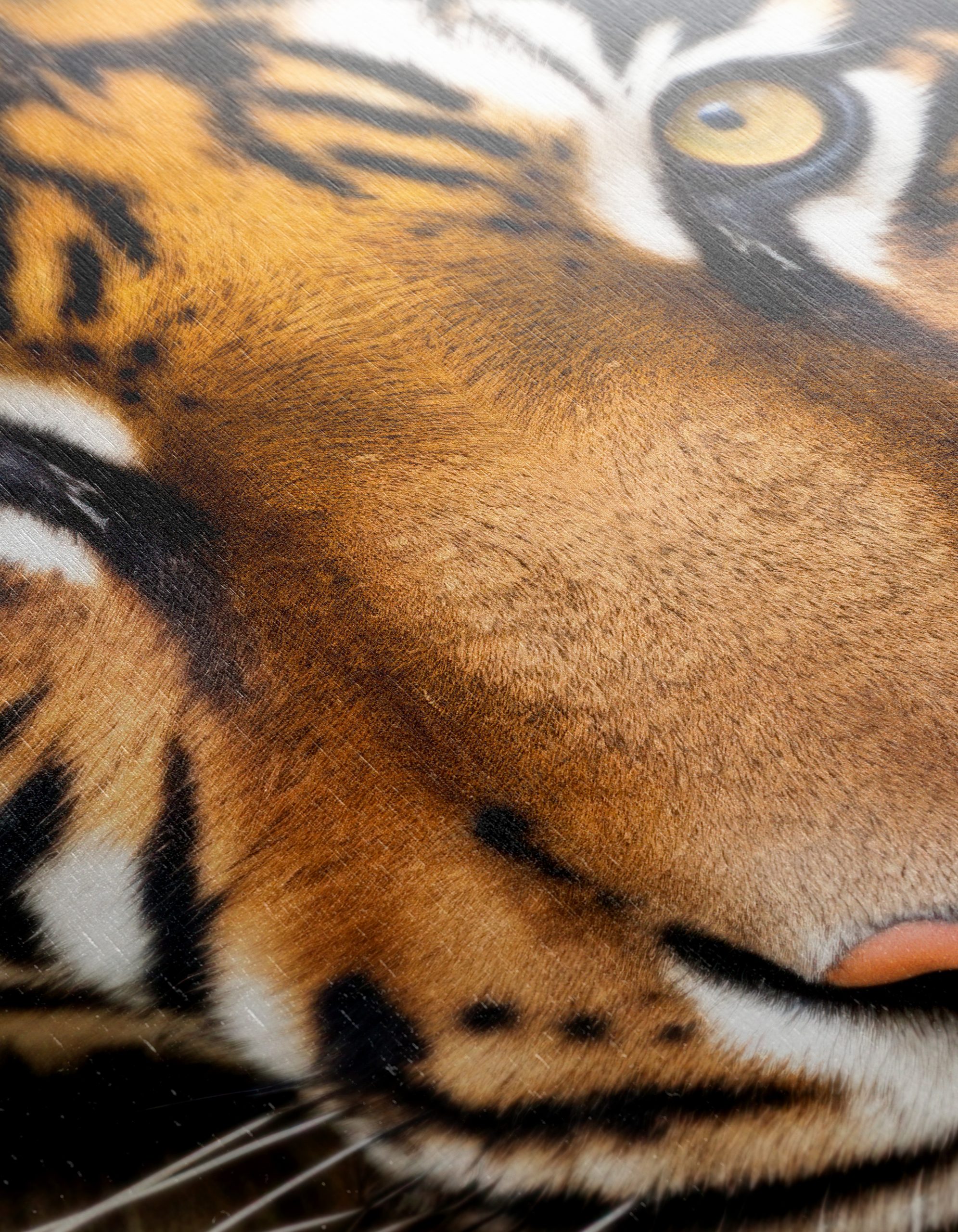 Majestic Tiger Portrait Wall Art 2 - Image 12