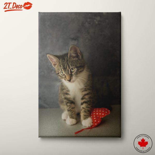 Cute Cat with Red Heart Toy