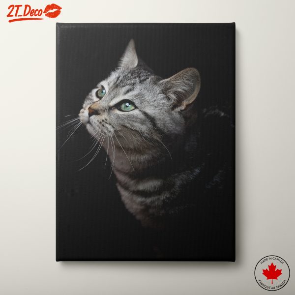 Close-Up Portrait of a Cat 4