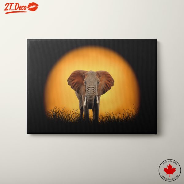 Majestic Elephant Silhouette at Sunset