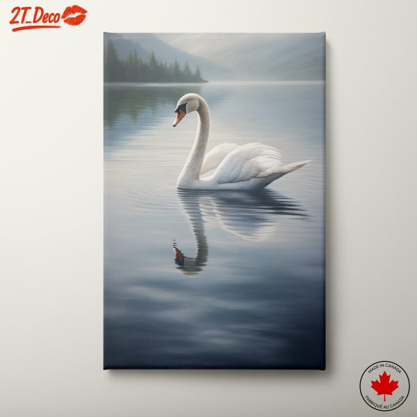 Elegant Swan Swimming on Still Water