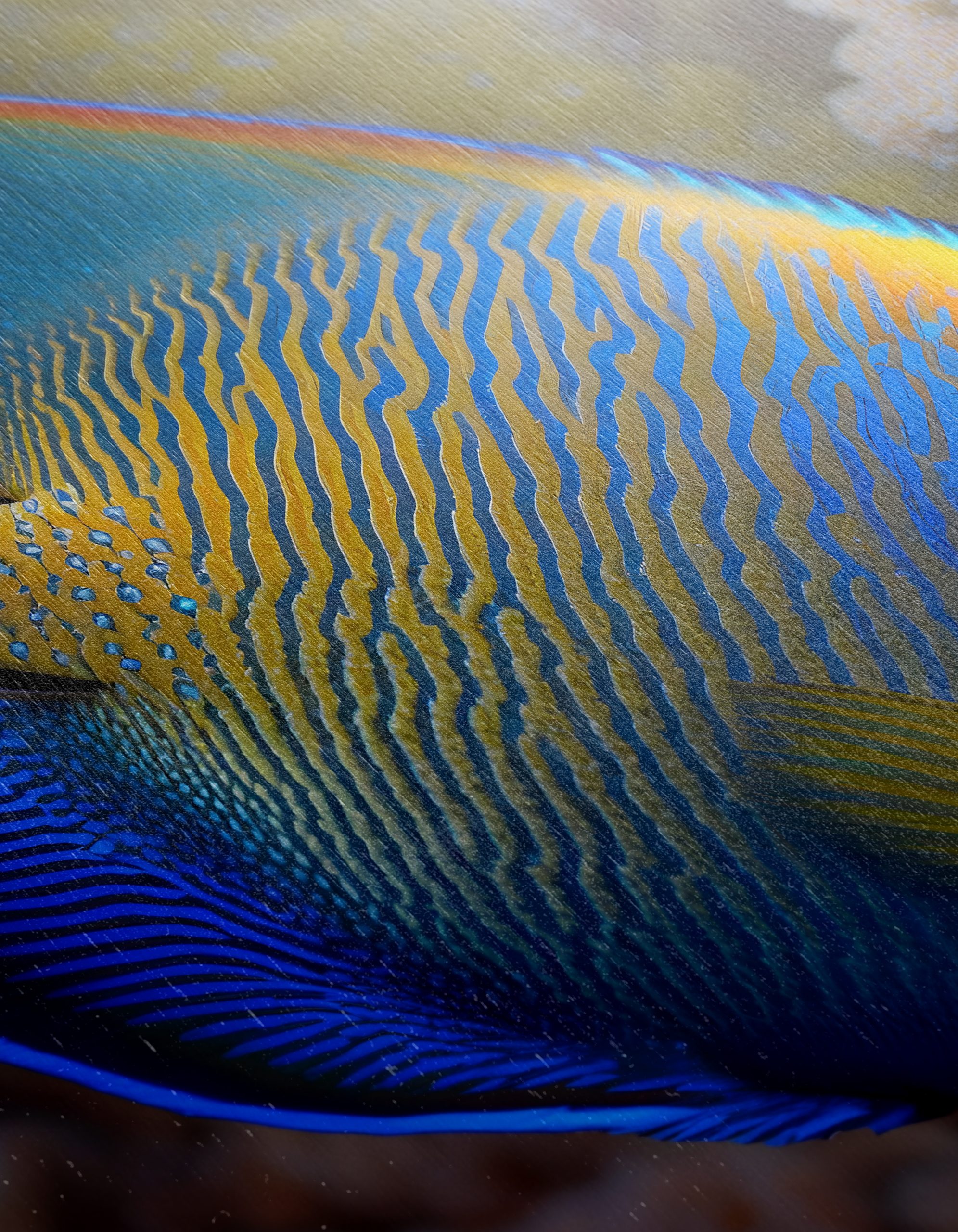 Vibrant Colorful Aquatic Fish Art - Image 12