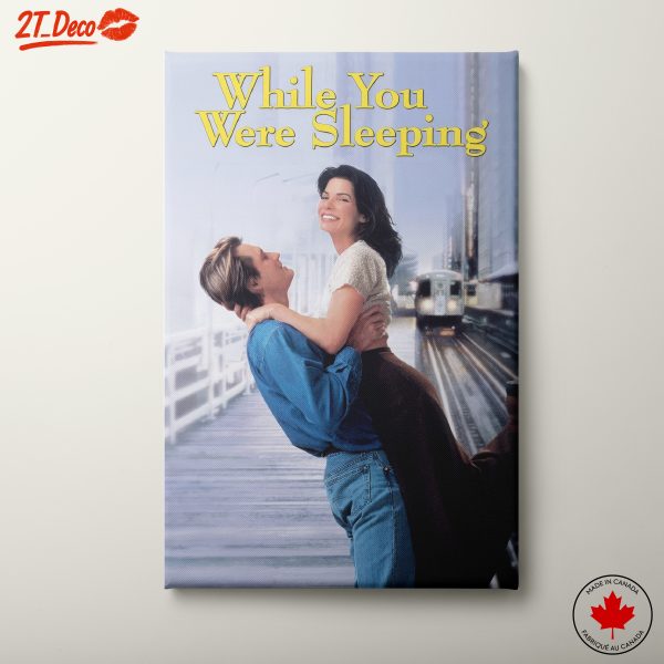 While You Were Sleeping Romantic Movie Artwork