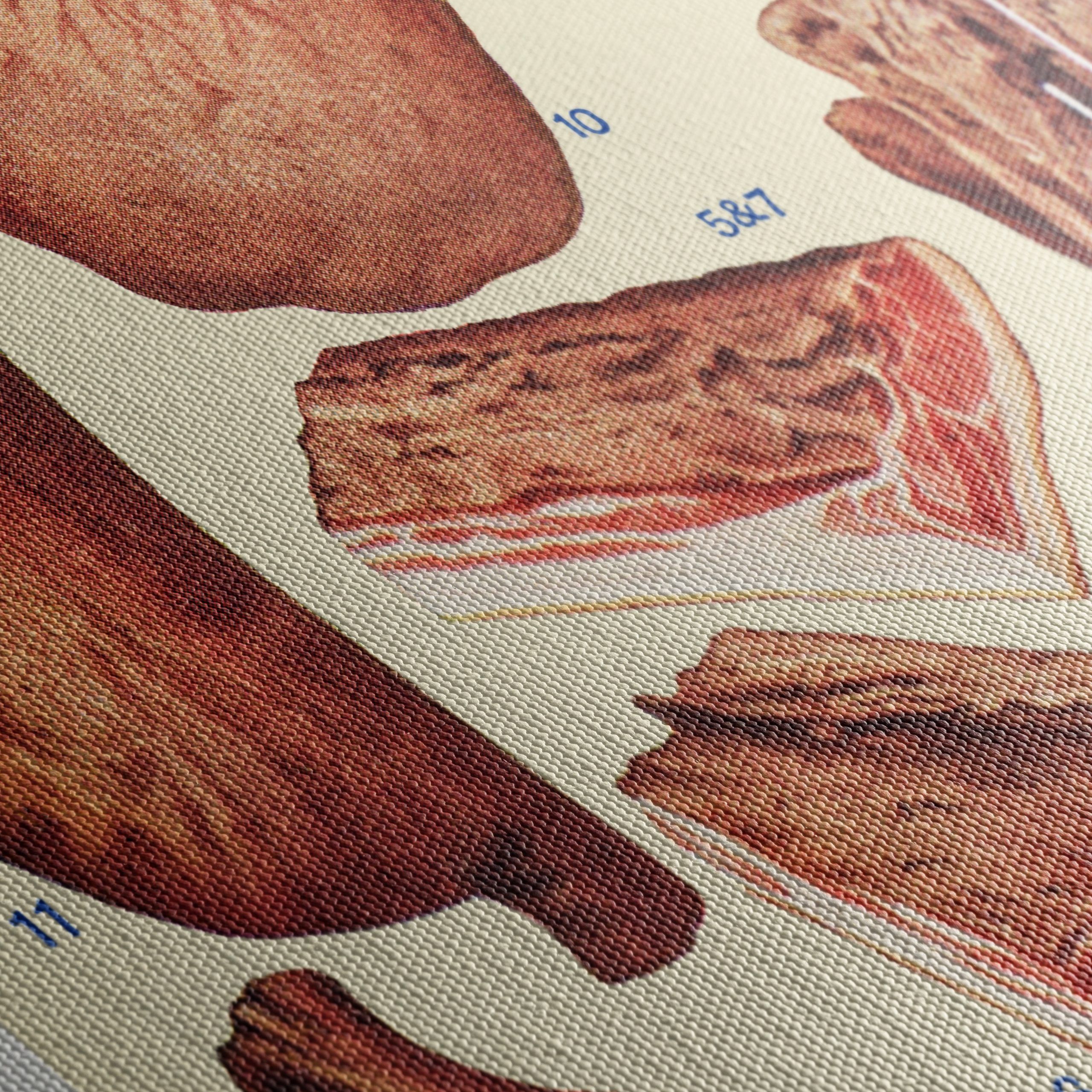Artistic Representation of Bacon and Ham Cuts - Image 5