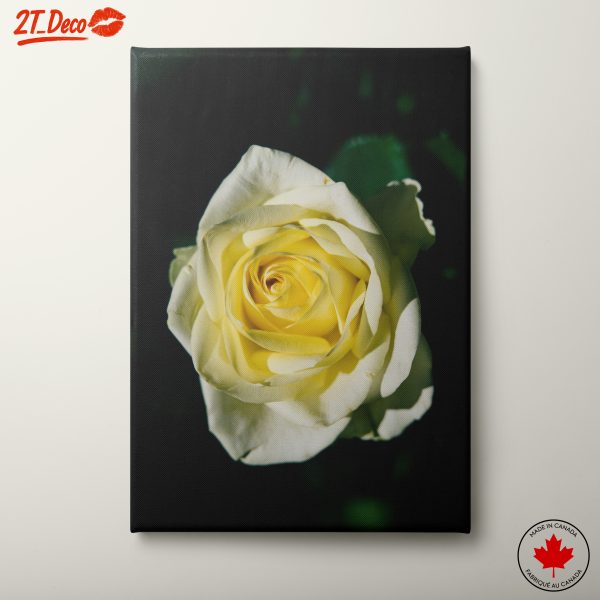 Stunning Yellow Rose Floral Art