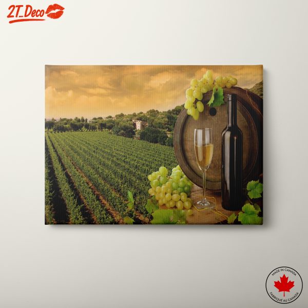 Beautiful Wine and Vineyard Landscape