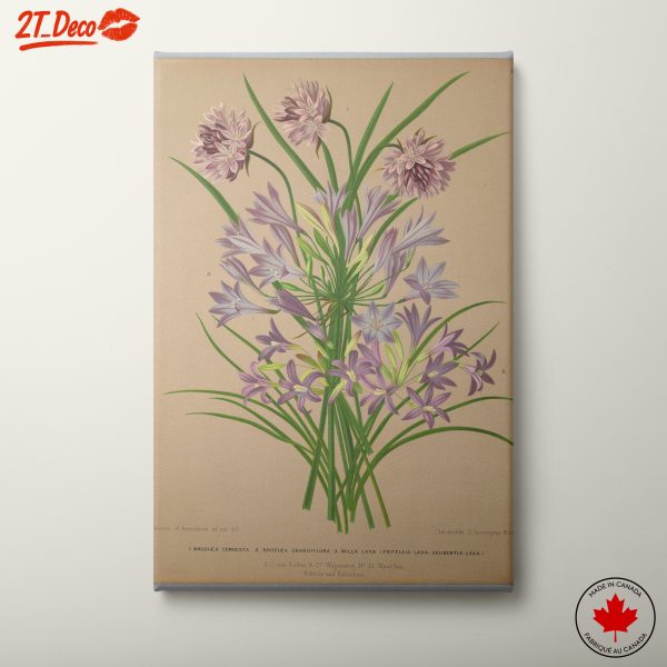 Beautiful Botanical Floral Art Illustration