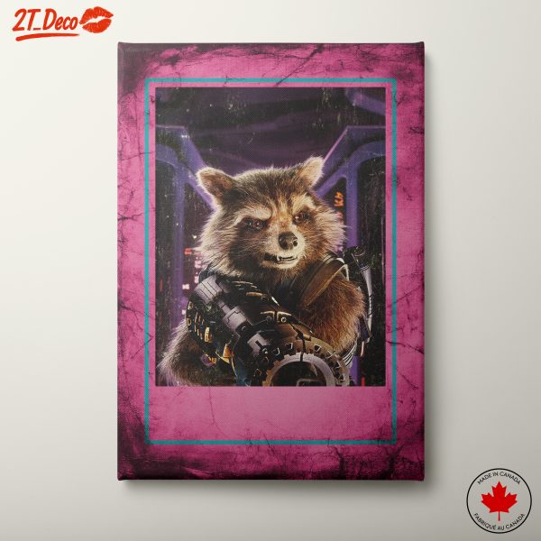 Stylized Raccoon Character Art
