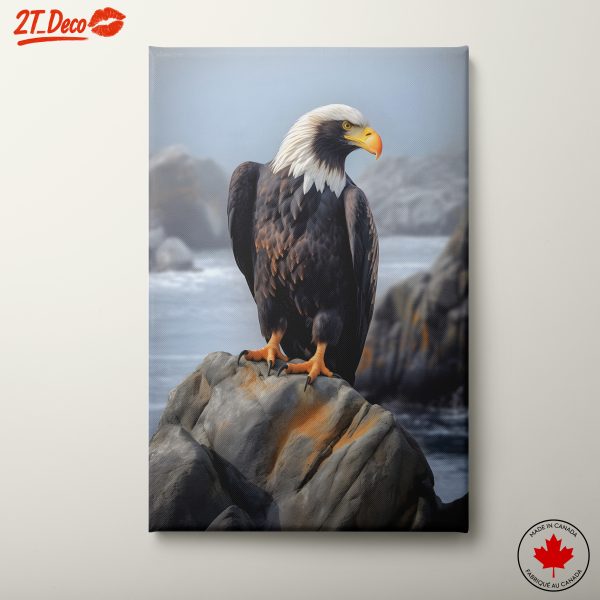 Majestic Eagle on Rocky Outcrop