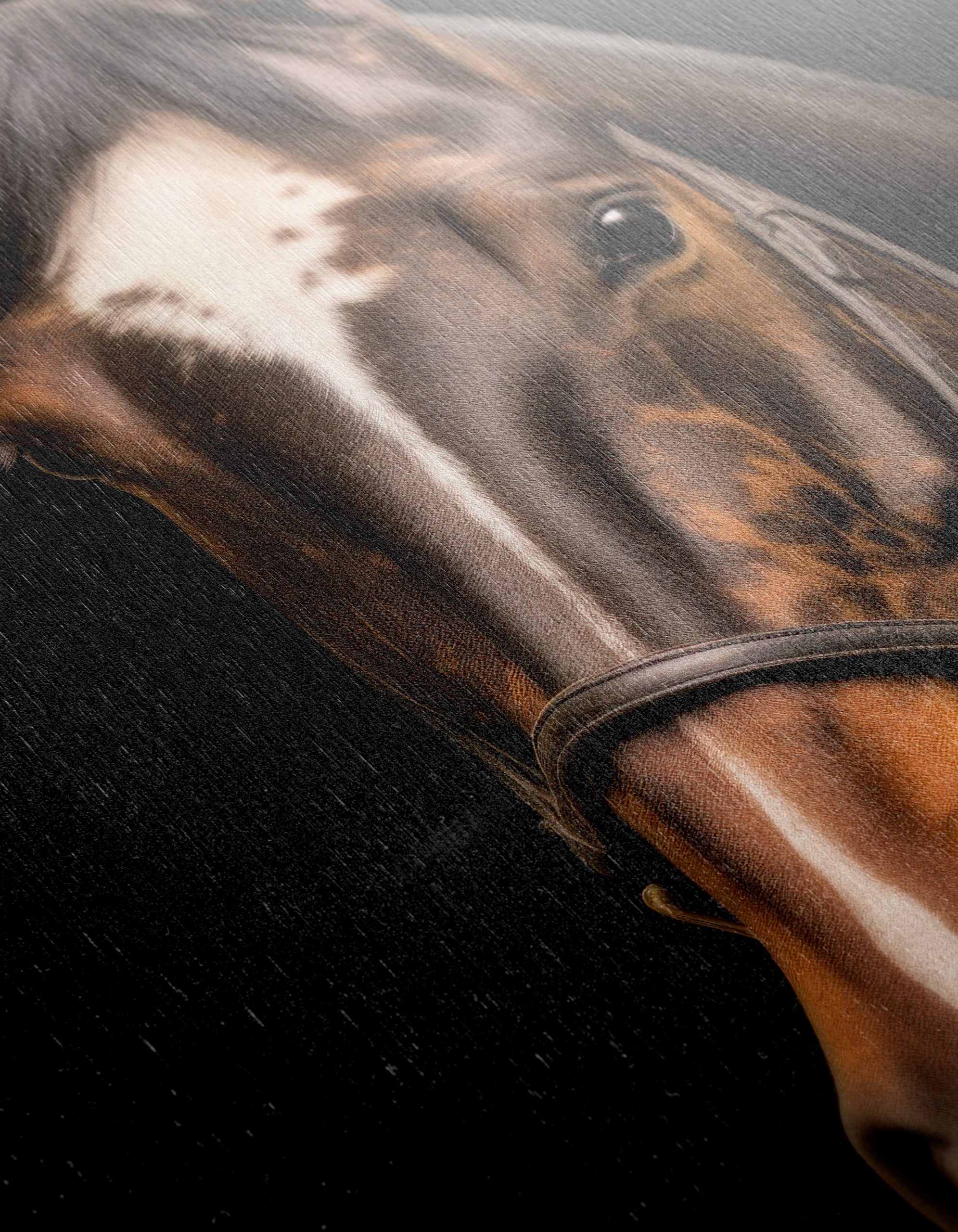 Majestic Horse Head Portrait - Image 12