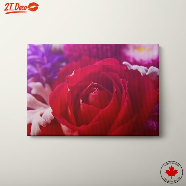 Stunning Close-Up Rose Art 2
