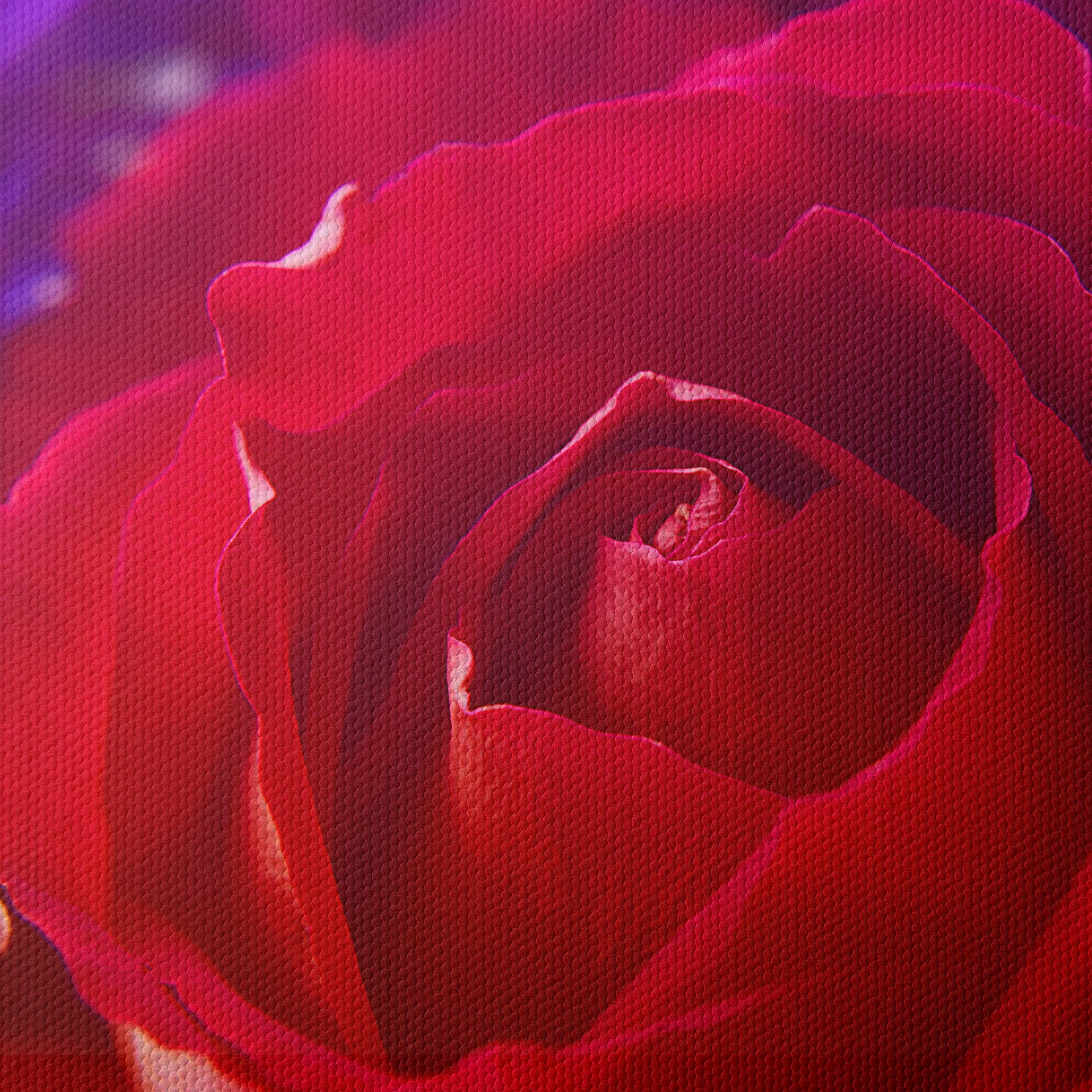 Stunning Close-Up Rose Art 2 - Image 4