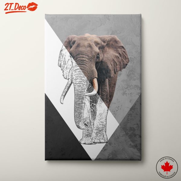 Stylish Artistic Elephant Wall Art