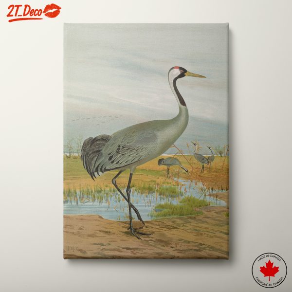 Elegant Crane Amidst Natural Habitat