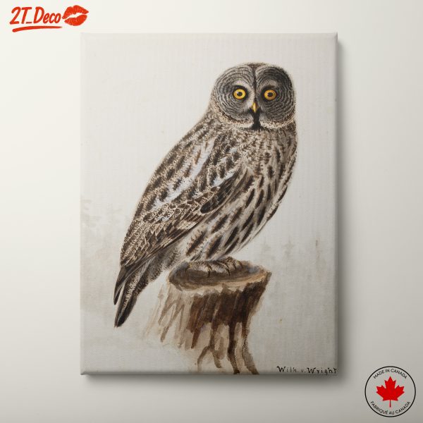 Realistic Owl Watercolor Artwork