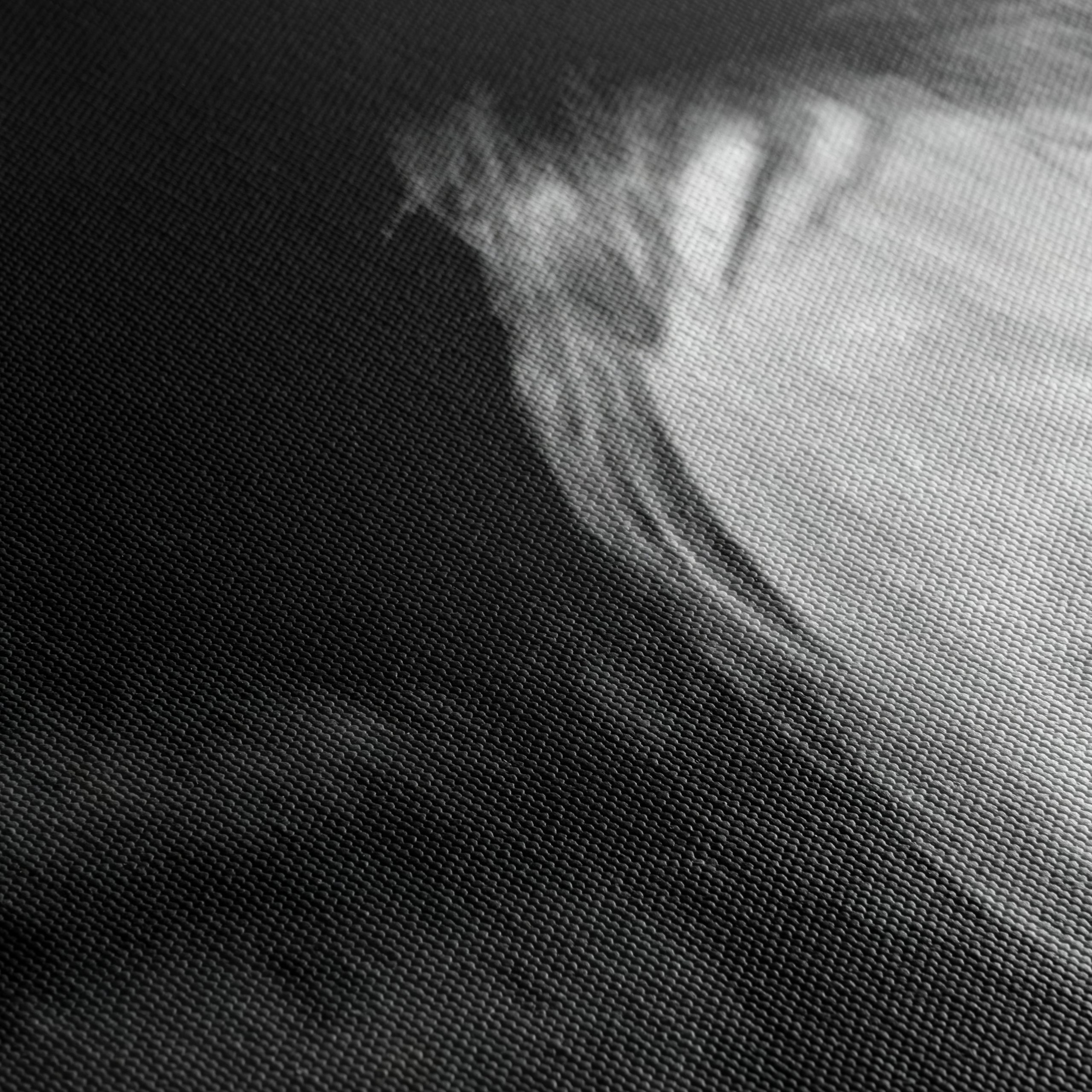 Dramatic Black and White Emotional Expression Art - Image 5