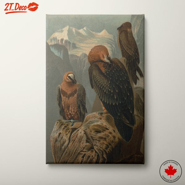 Majestic Birds Perched on a Log