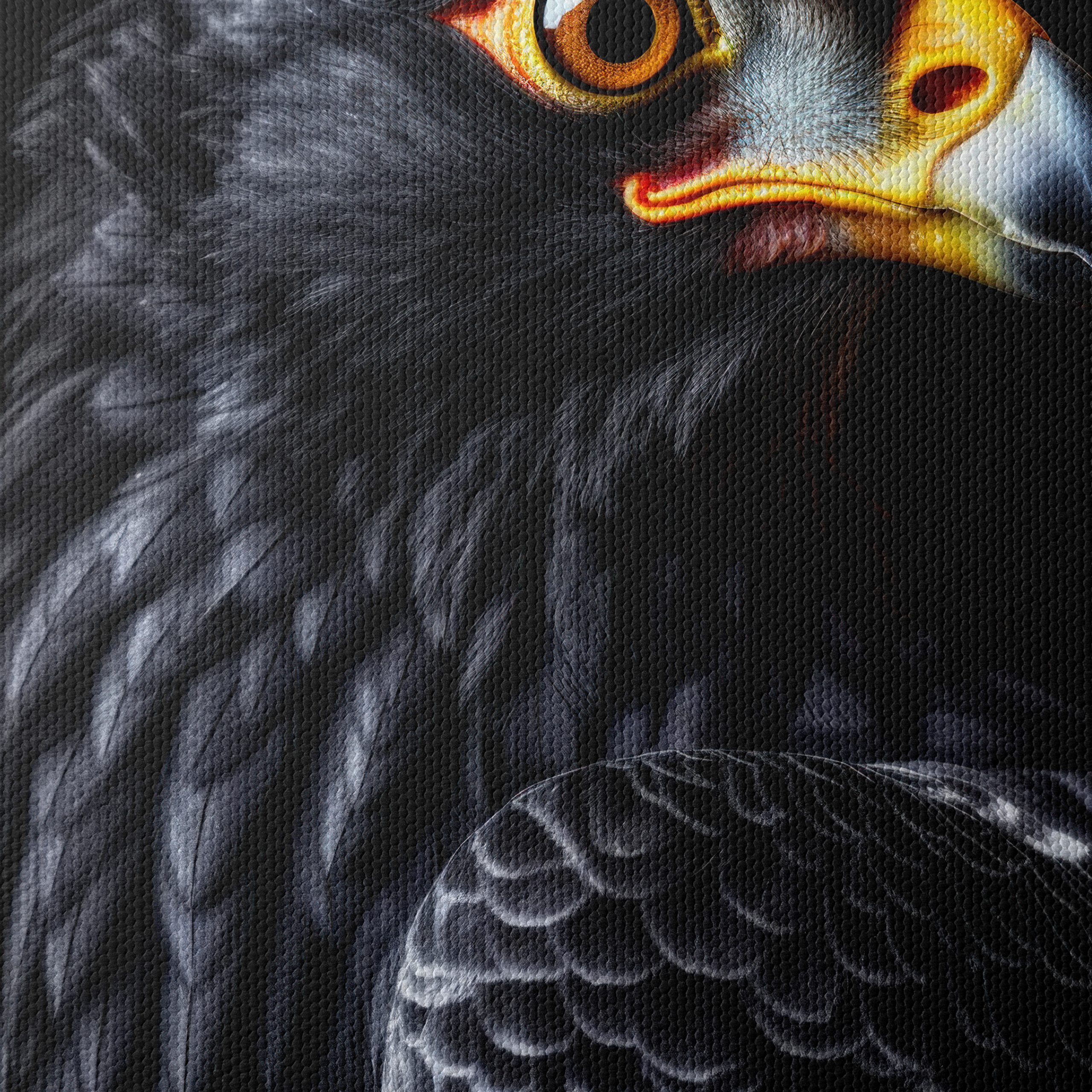 Stunning Eagle Portrait in Rich Detail - Image 4