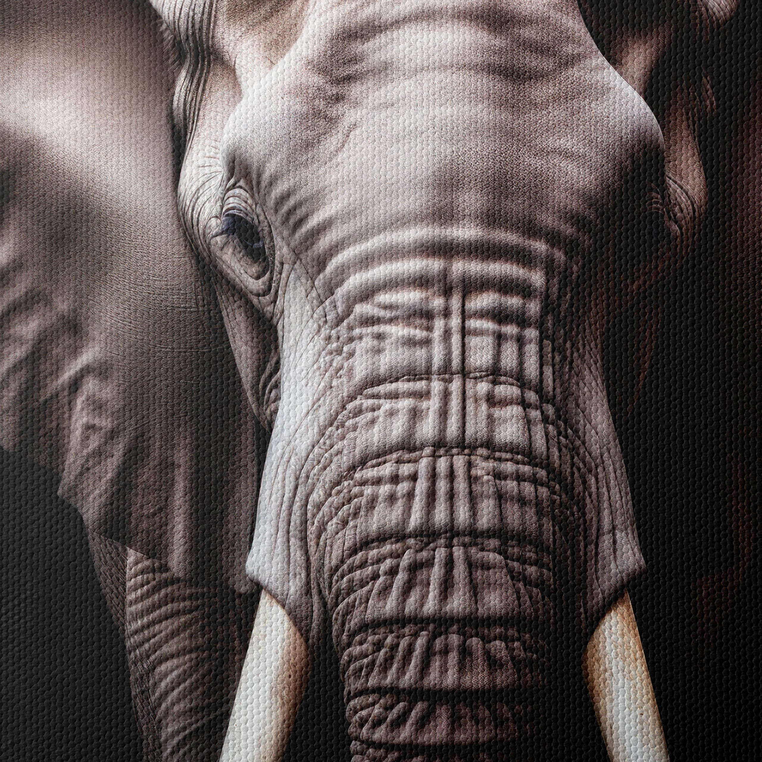 Majestic Elephant Wall Art - Image 4