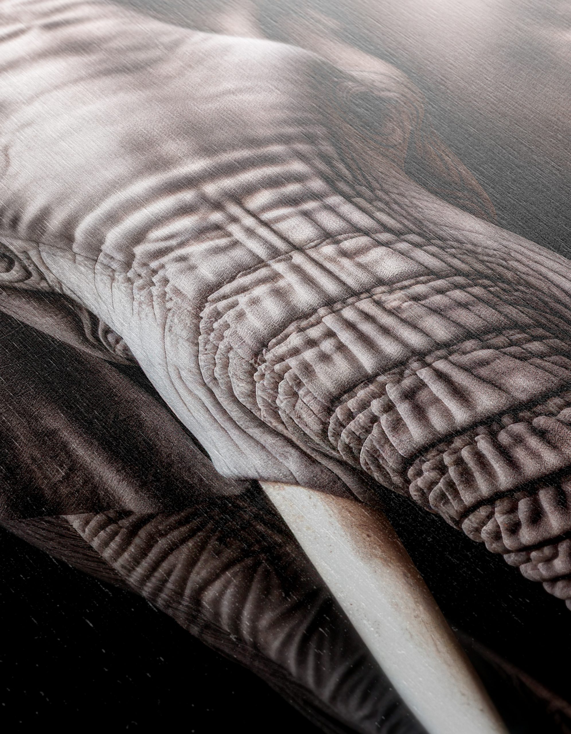Majestic Elephant Wall Art - Image 12