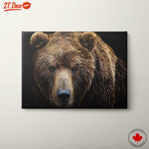 Realistic Bear Portrait Wall Art 2