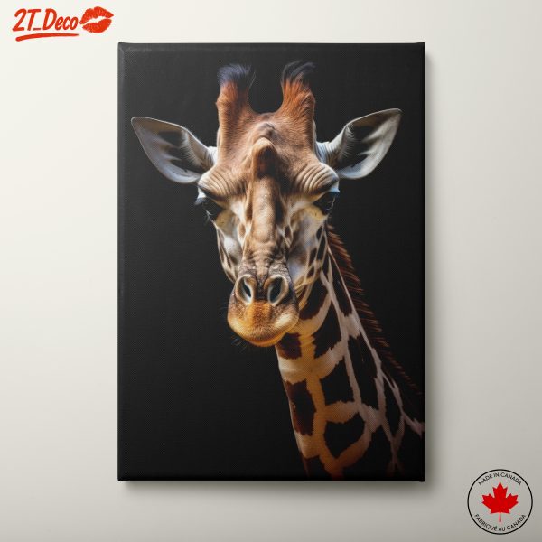 Detailed Giraffe Portrait on Black Background