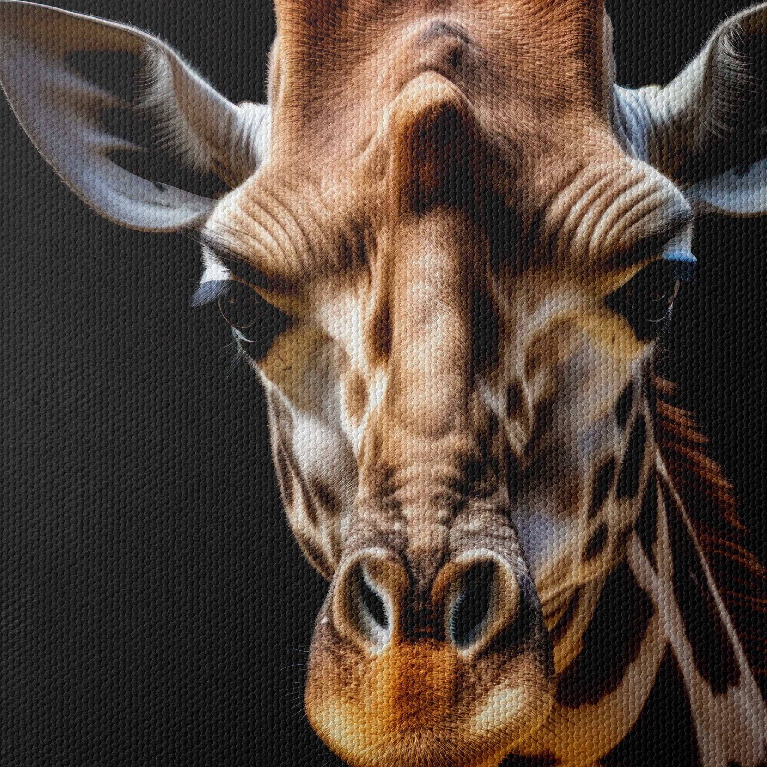 Detailed Giraffe Portrait on Black Background - Image 4