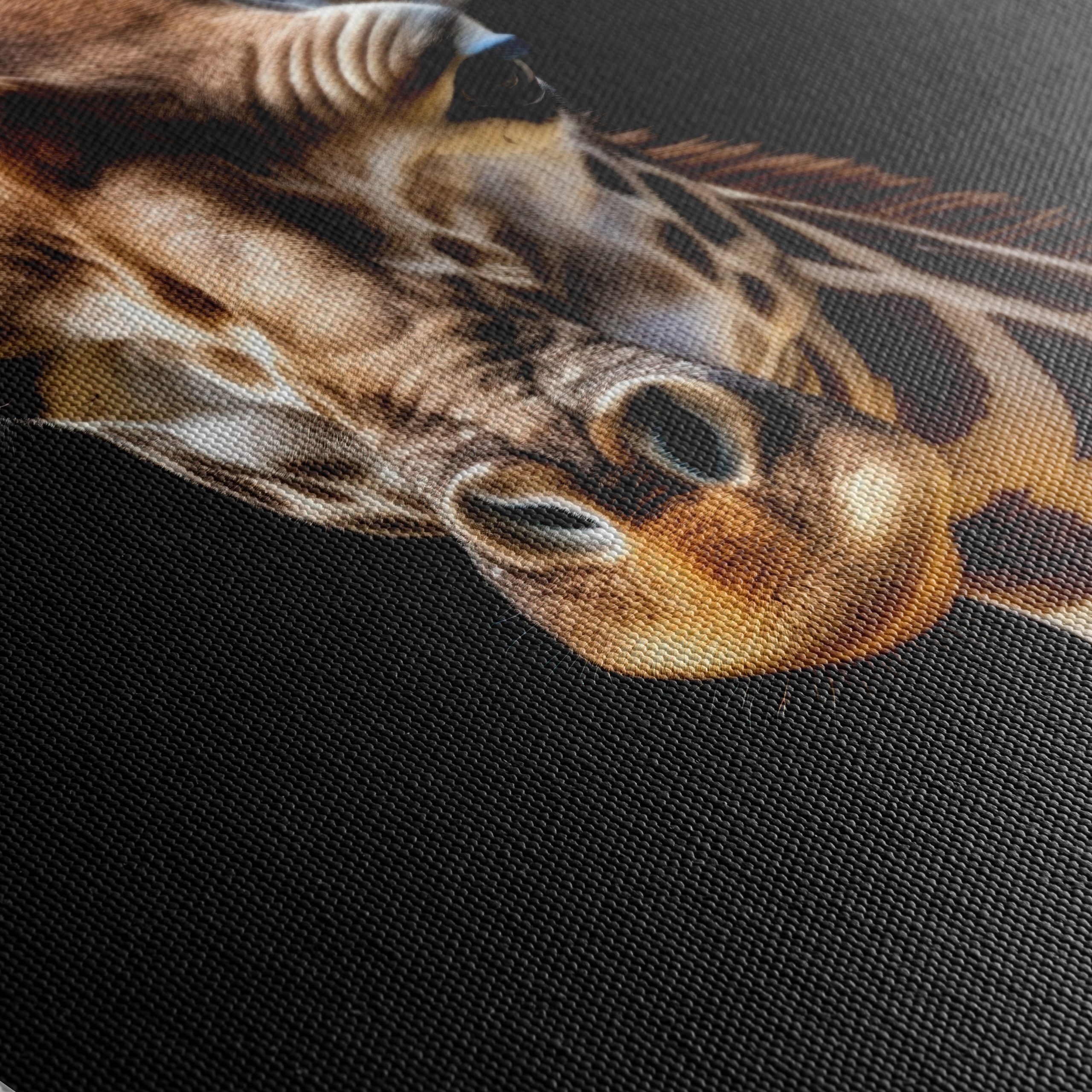 Detailed Giraffe Portrait on Black Background - Image 5