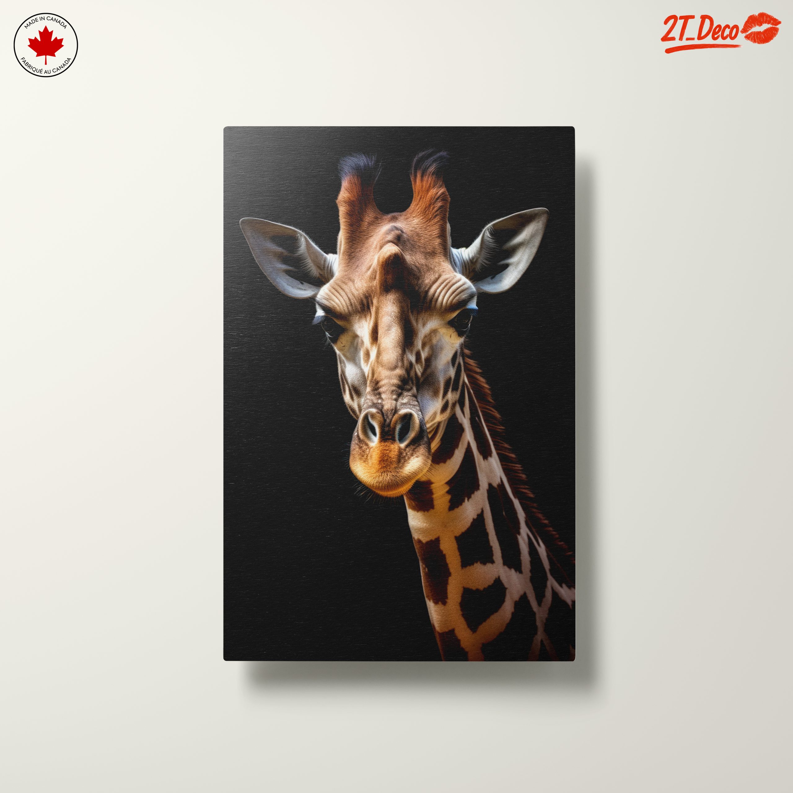 Detailed Giraffe Portrait on Black Background - Image 10