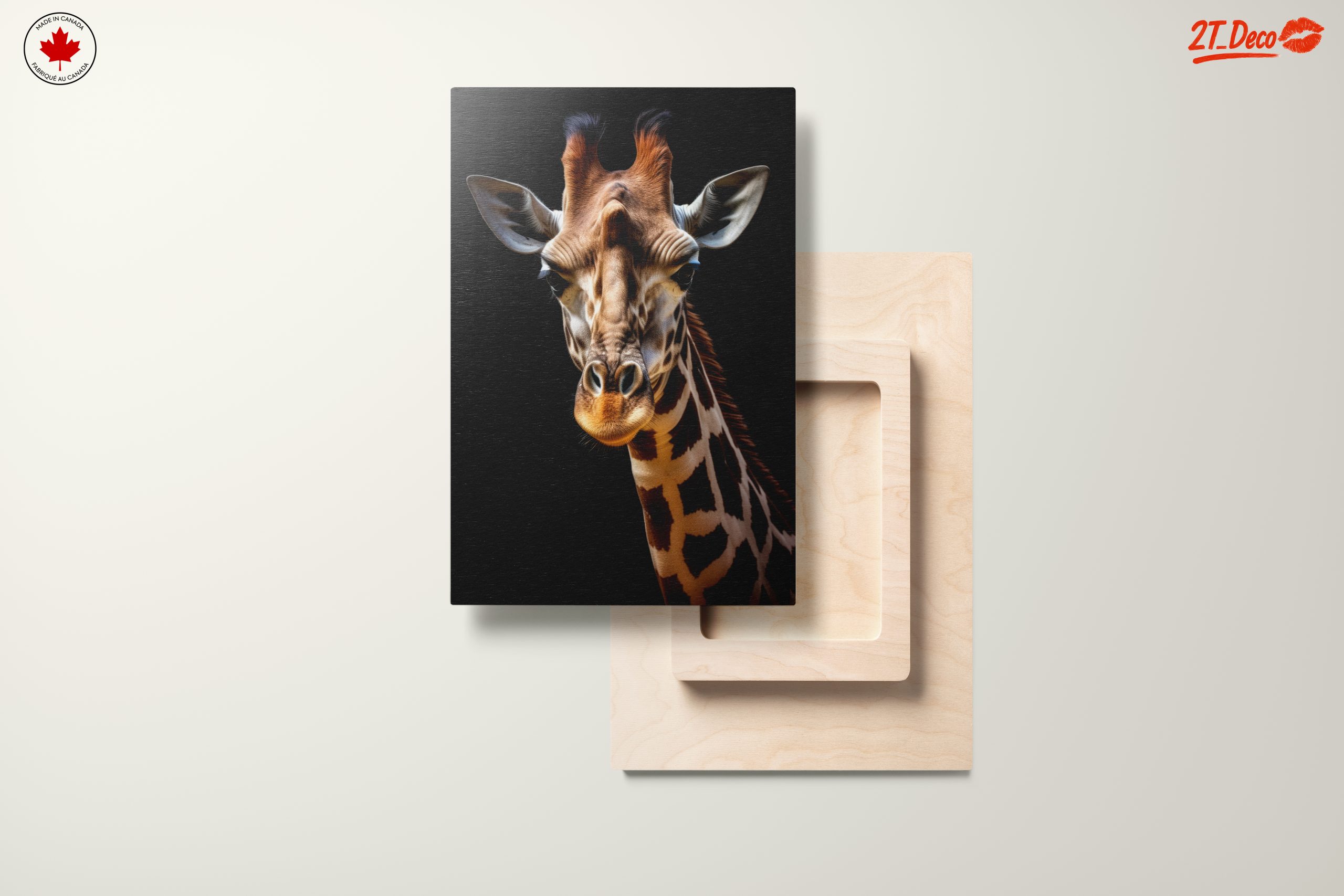 Detailed Giraffe Portrait on Black Background - Image 11