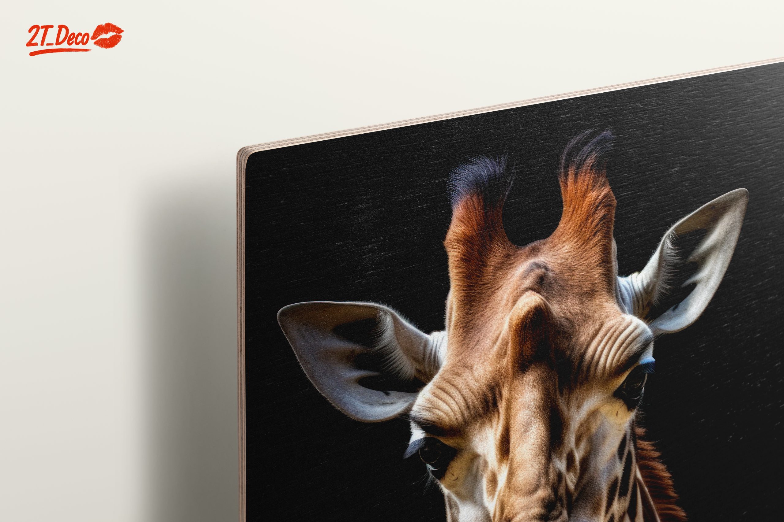 Detailed Giraffe Portrait on Black Background - Image 15