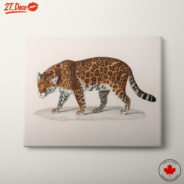 Realistic Illustration of a Walking Jaguar