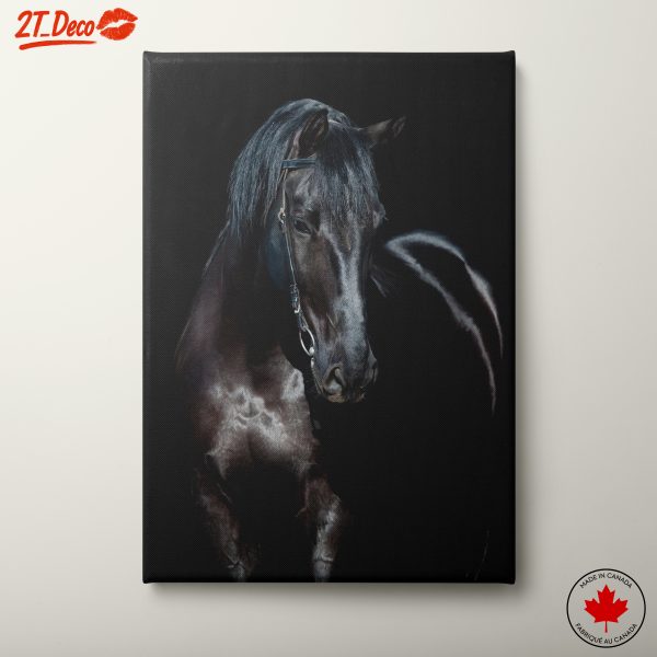 Elegant Black Horse Portrait
