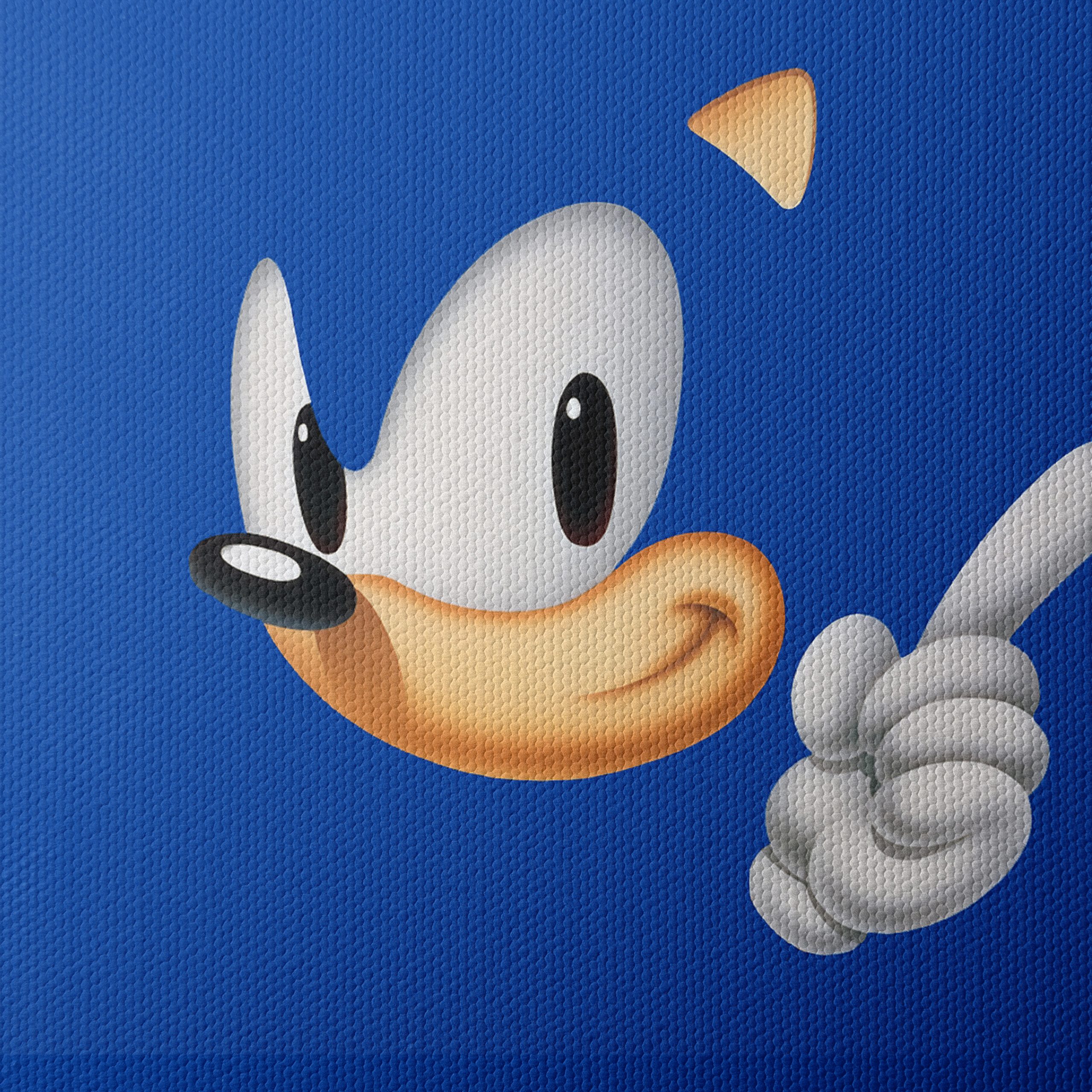 Sonic the Hedgehog Character Art - Image 4