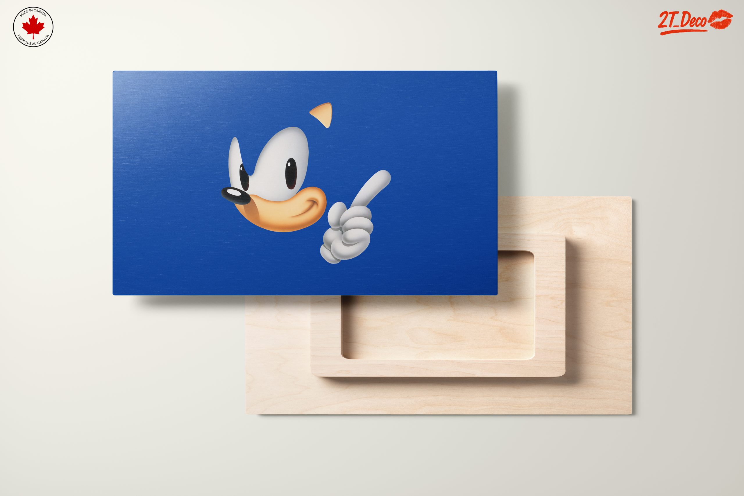Sonic the Hedgehog Character Art - Image 11