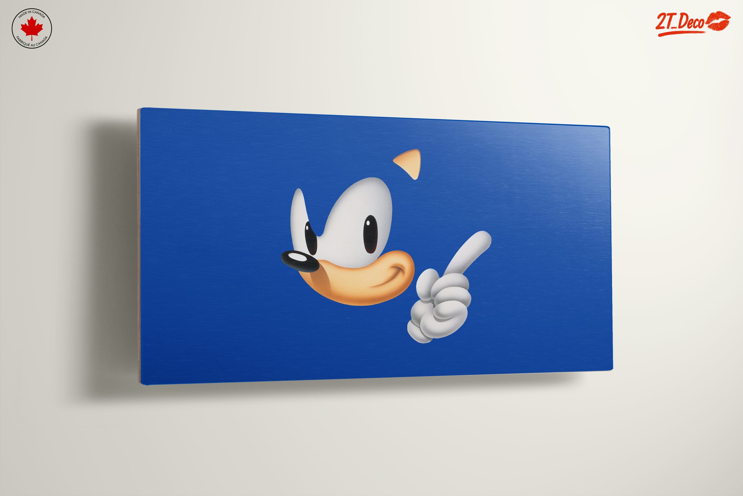 Sonic the Hedgehog Character Art - Image 13