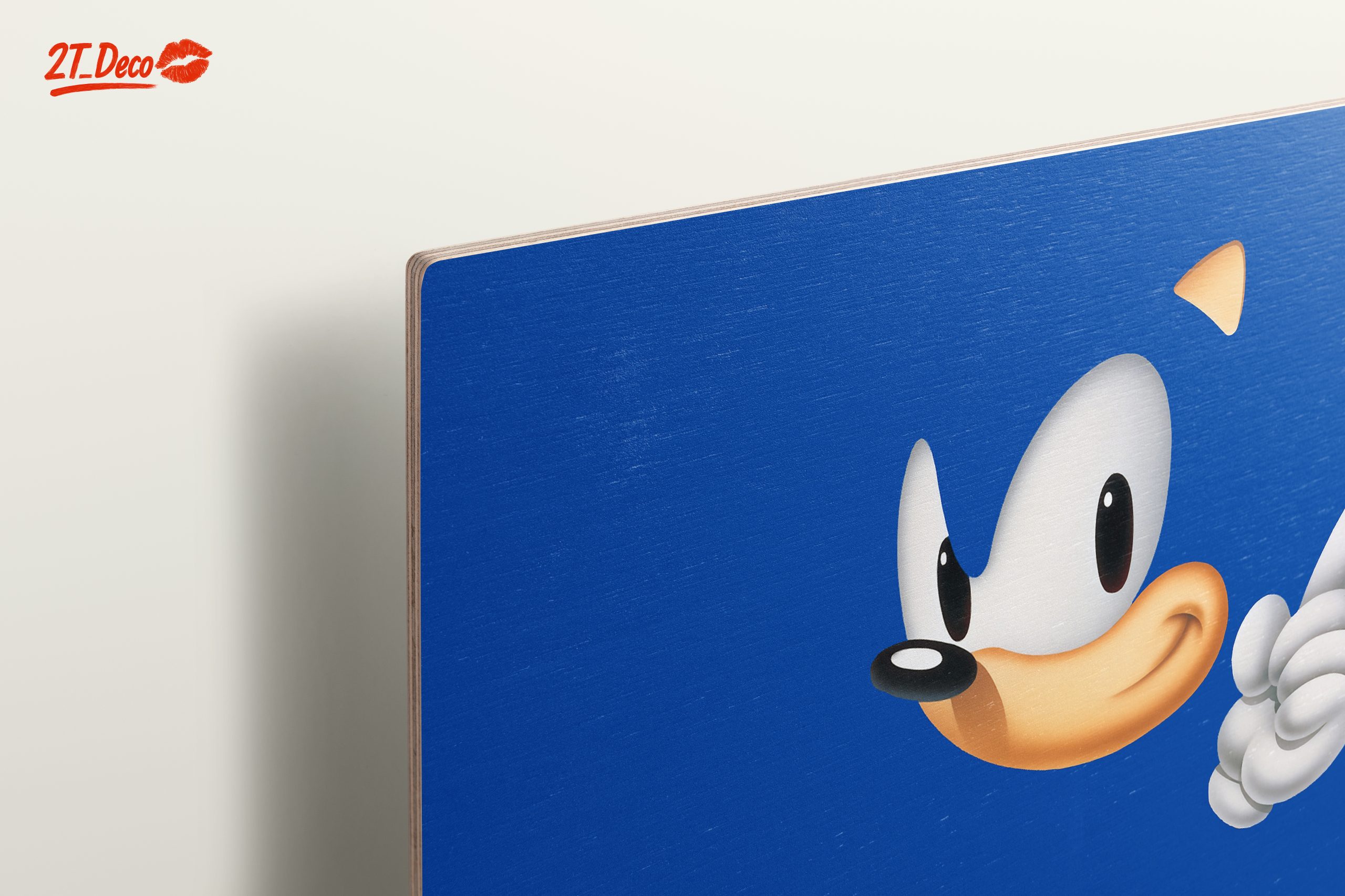 Sonic the Hedgehog Character Art - Image 15