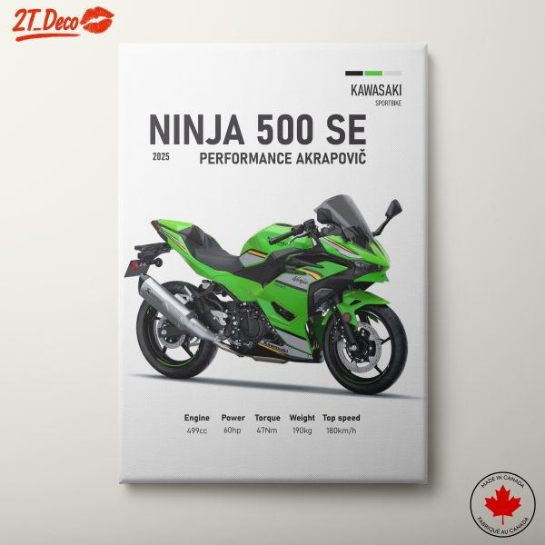 Kawasaki Ninja 500 SE Sportbike Artwork