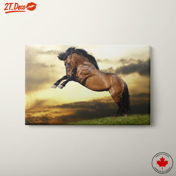 Dynamic Horse in Sunset