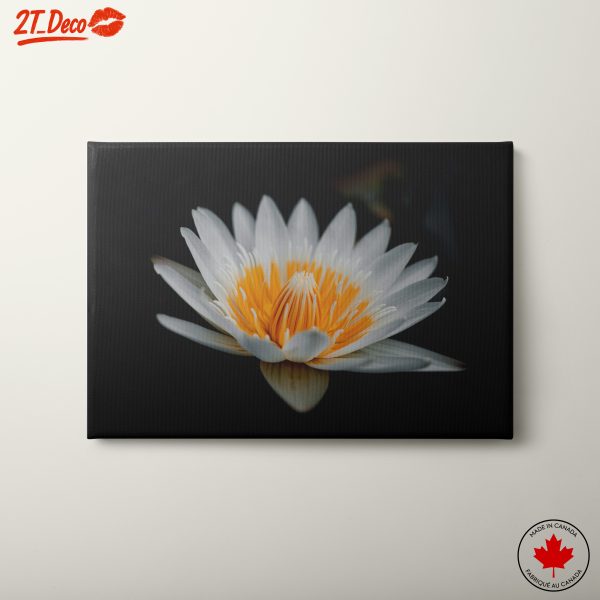 Beautiful Lotus Flower Art